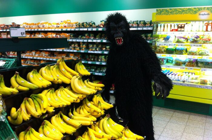 Ein Mensch im Gorilla-Kostüm beim Bananen kaufen