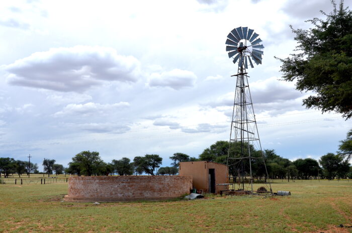 Landschaft in Namibia mit viel Gras und ein paar Bäumen. In der Mitte ein Brunnen und eine Windturbine.