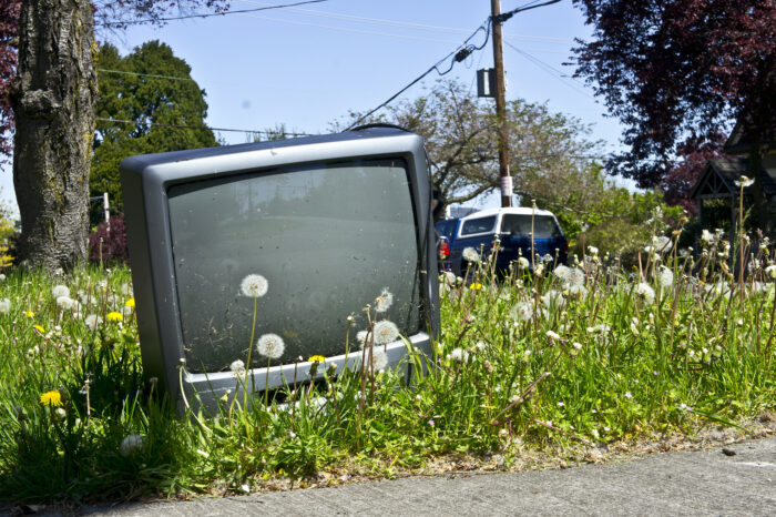 Ein alter Röhrenfernseher steht ausgeschaltet draußen auf einer Wiese, davor blumen