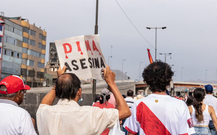 Einige Menschen sind von hinten zu sehen, einer hält ein Schild hoch mit der Aufschrift "Dina Asesina"