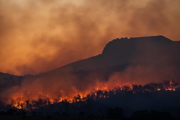 Ein Waldbrand.