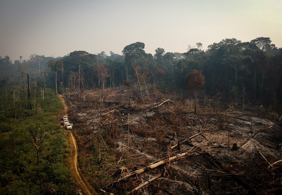 Luftaufnahme eines Stücks brandgerodeten Regenwaldes, links im Bild führt eine Straße an er gerodeten Fläche entlang, auf der drei Autos stehen