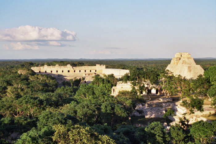 Foto von Maya Ruinen mitten durch einen Regenwald. Auf dem Bild sind ein pyramidenartiges Gebäude und kleinere Ruinen.