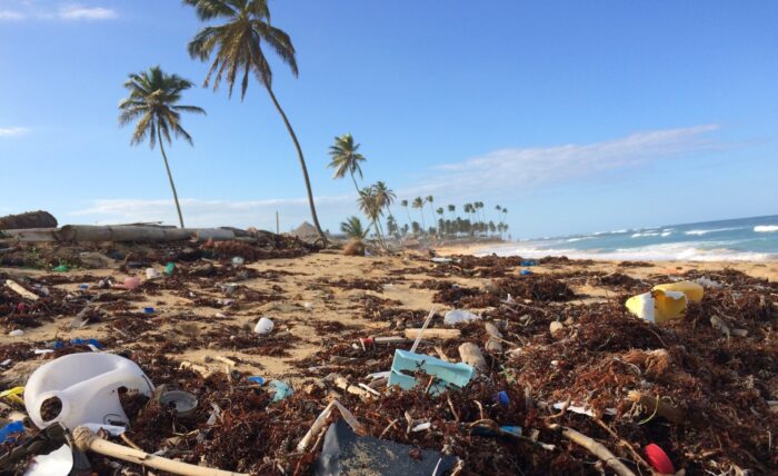 Bild eines Sandstrandes mit Palmenfront und eine Menge Plastikmüll