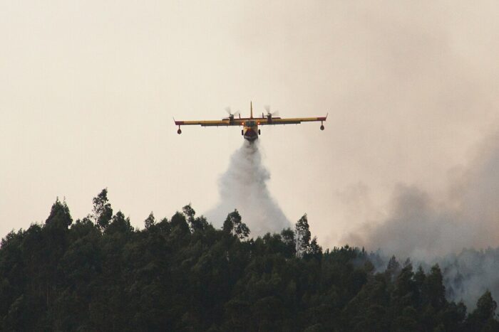 Ein Flugzeug über einem Wald, aus dem Flugzeug wird eine große Menge Löschwasser abgelassen