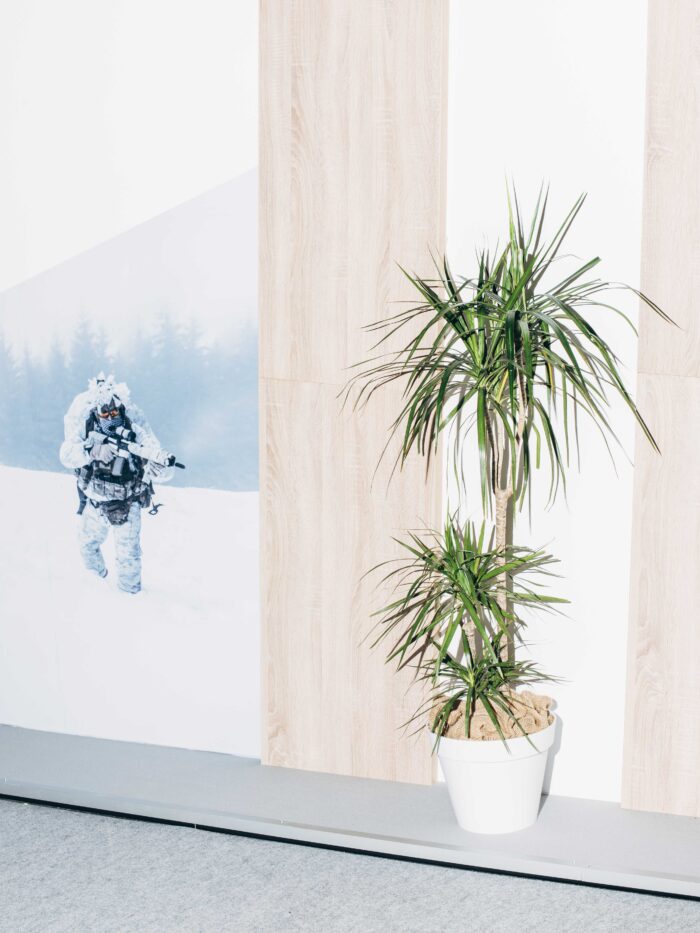 Eine Zimmerpflanze auf einer Fensterbank, dahinter ist ein weiß getarnter Soldat mit Gewehr im Anschlag in einer Winterlandschaft zu sehen