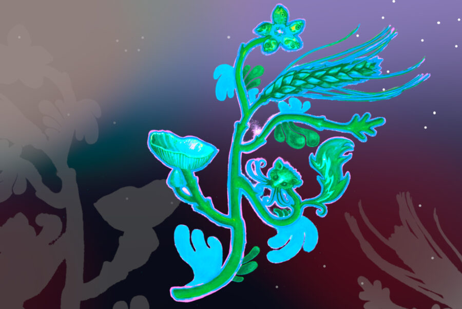 Illustration einer Pflanze.