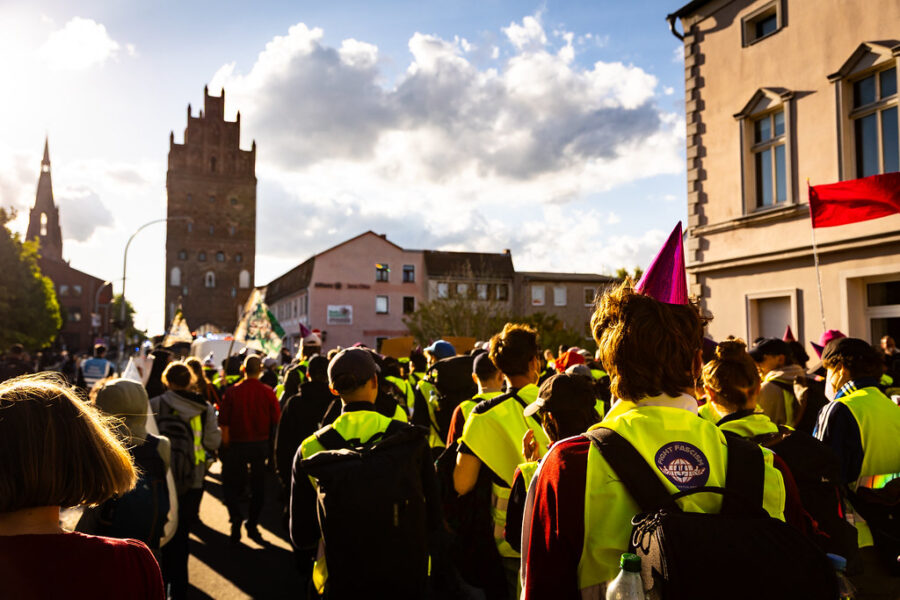 Man sieh von hinten viele Demonstrierende mit gelben Westen, eine Person trägt einen Partyhut.