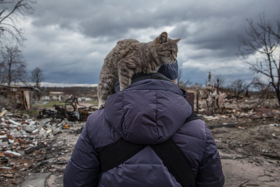Eine Katze sitzt auf der Schulter einer Person in dicker Winterjacke (von hinten fotografiert), die auf eine Trümmerlandschaft schaut
