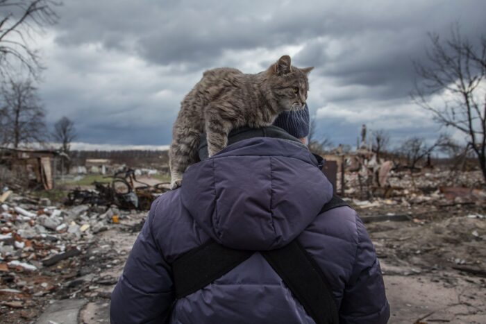 A cat sits on the shoulder of a person wearing a thick winter jacket (photographed from behind), who is looking out over a landscape of rubble.