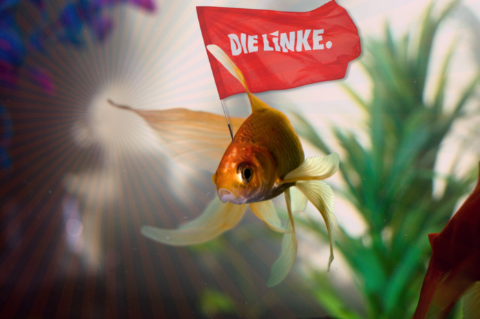 Collage eines Goldfischs, der mit eineer Linkspartei-Fahne durch ein Aquarium schwimmt