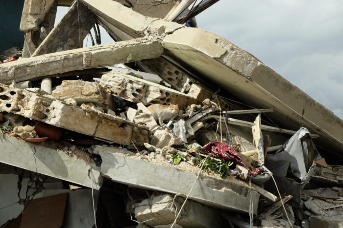 Man sieht eine Katze inmitten von Trümmern.