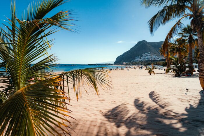 Zu sehen ist ein Strand mit Palmen.