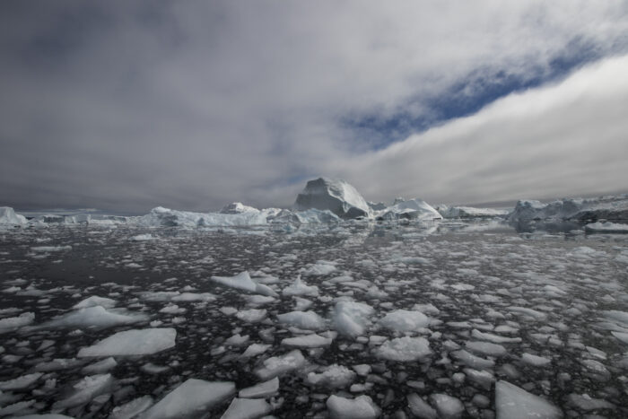 Ein Meer in dem unzählige Eisschollen schwimmen, dahinter große Eisberge